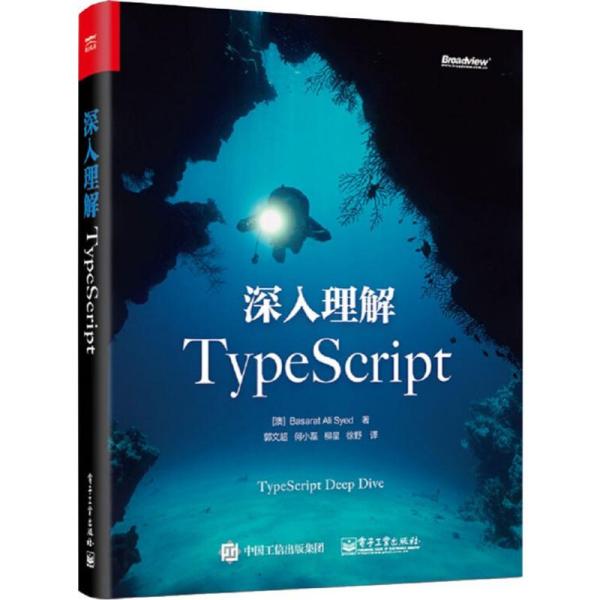正版 深入理解TYPESCRIPT 9787121376511 电子工业出版社