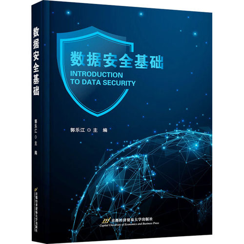 正版 数据安全基础 9787563837380 首都经济贸易大学出版社