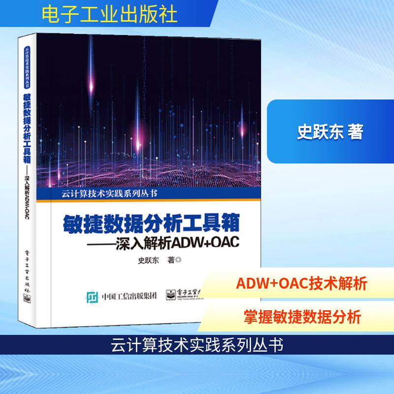 正版  敏捷数据分析工具箱--深入解析adw+oac/云计算技术实践系列丛书 网络技术 史跃东  9787121409189 电子工业出版社