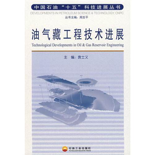 正版 中国石油“十五”科技进展丛书：油气藏工程技术进展 9787502156879 石油工业出版社