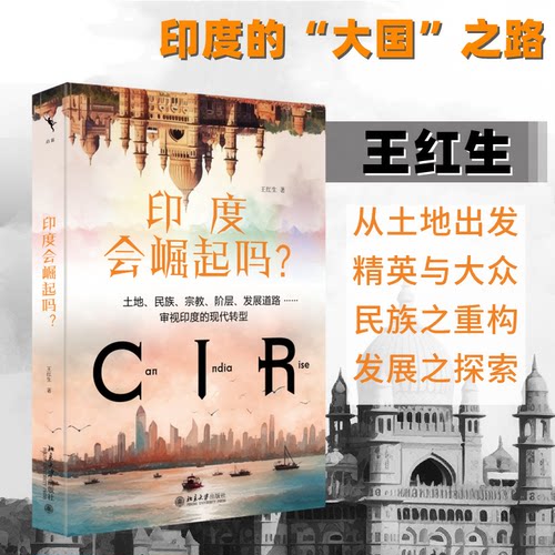 正版 印度会崛起吗? 9787301338766 北京大学出版社