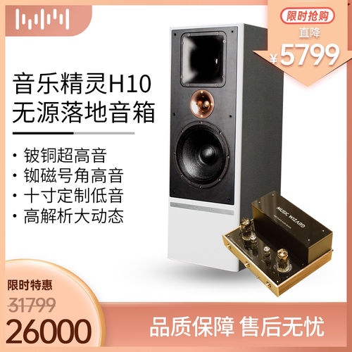 10寸大口径HIFI发烧音质高端音箱