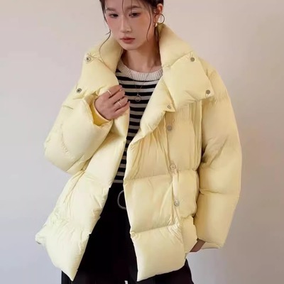 江南同款立领短款羽绒服女