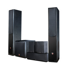 DMSEINC 客厅家用重低音炮落地音箱 贵族五号5.1家庭影院音响套装