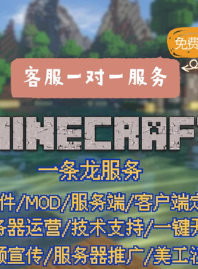 Minecraft我的世界插件定制mod定制服务端客户端服务器开服配置