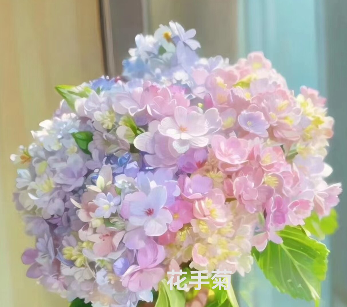 花手鞠阳台植物花卉包对版