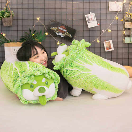 菜狗送女友生日礼物抱枕玩偶