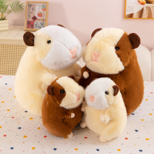 可爱荷兰猪玩偶毛绒玩具天竺鼠公仔儿童睡觉抱枕竺鼠娃娃女孩礼物