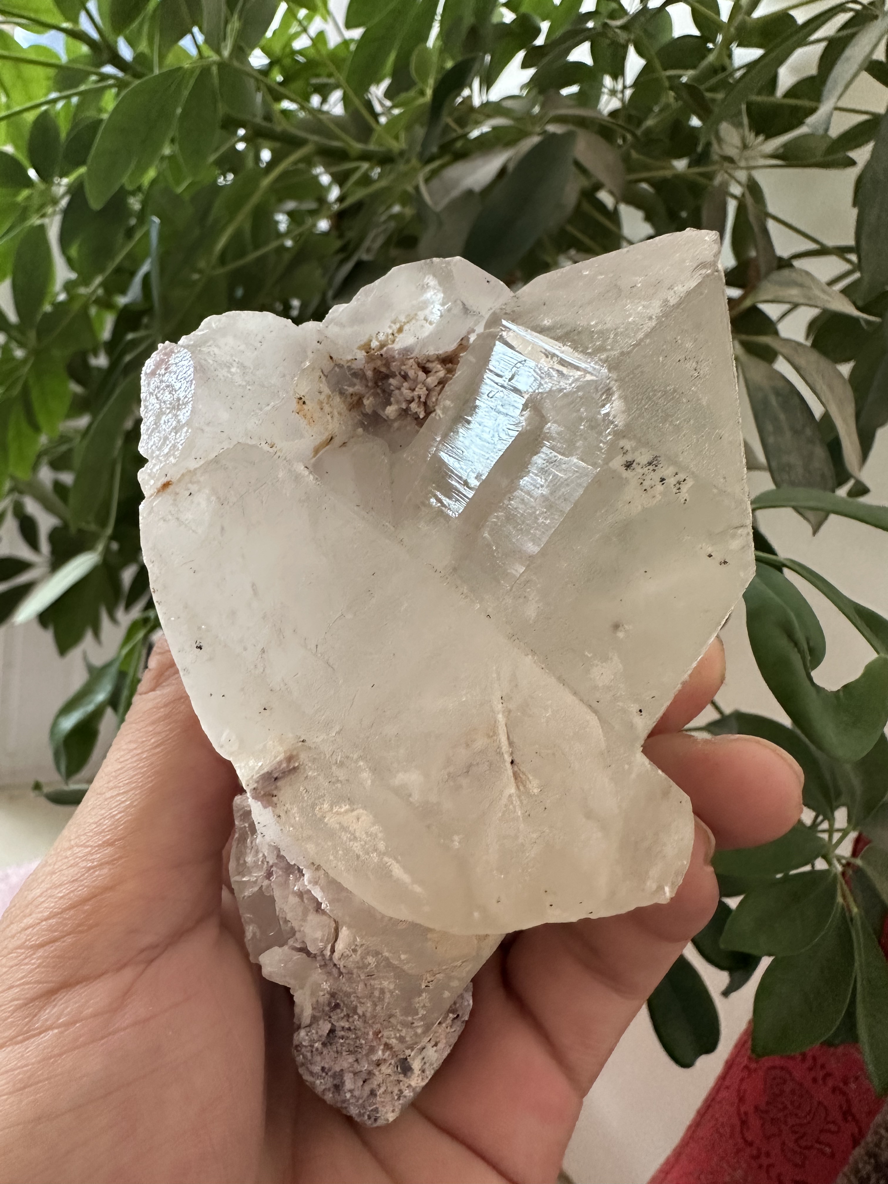 天然浅黄水晶柱 云母共生原石 缝合水晶高频能量风水摆件骨干标本