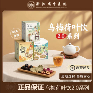 浙江省中医院乌梅荷叶饮2.0 葛根荷叶山楂饮金银花茯苓饮养生茶