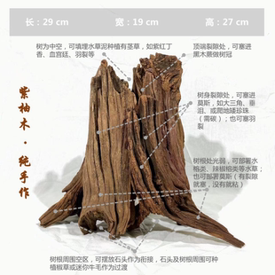 水草造景生命之树小米鱼缸造景骨架树桩紫柚木草缸手工景观 艾伦