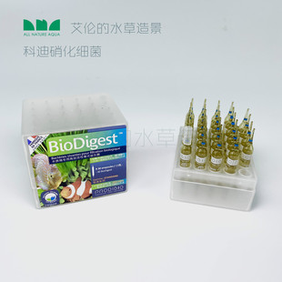 净水 艾伦 淡水海 水草造景 硝化系统 科迪硝化细菌