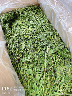 现货【苜蓿】25年9月！新草苜蓿草 杆细叶嫩超级嫩嘎嘎香抢鲜品尝
