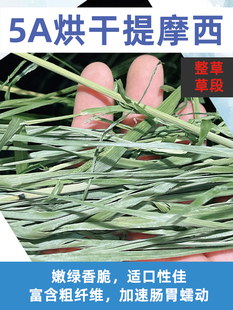 25年新烘干提摩西干草北提龙猫牧草兔粮兔草饲料荷兰猪调肠胃