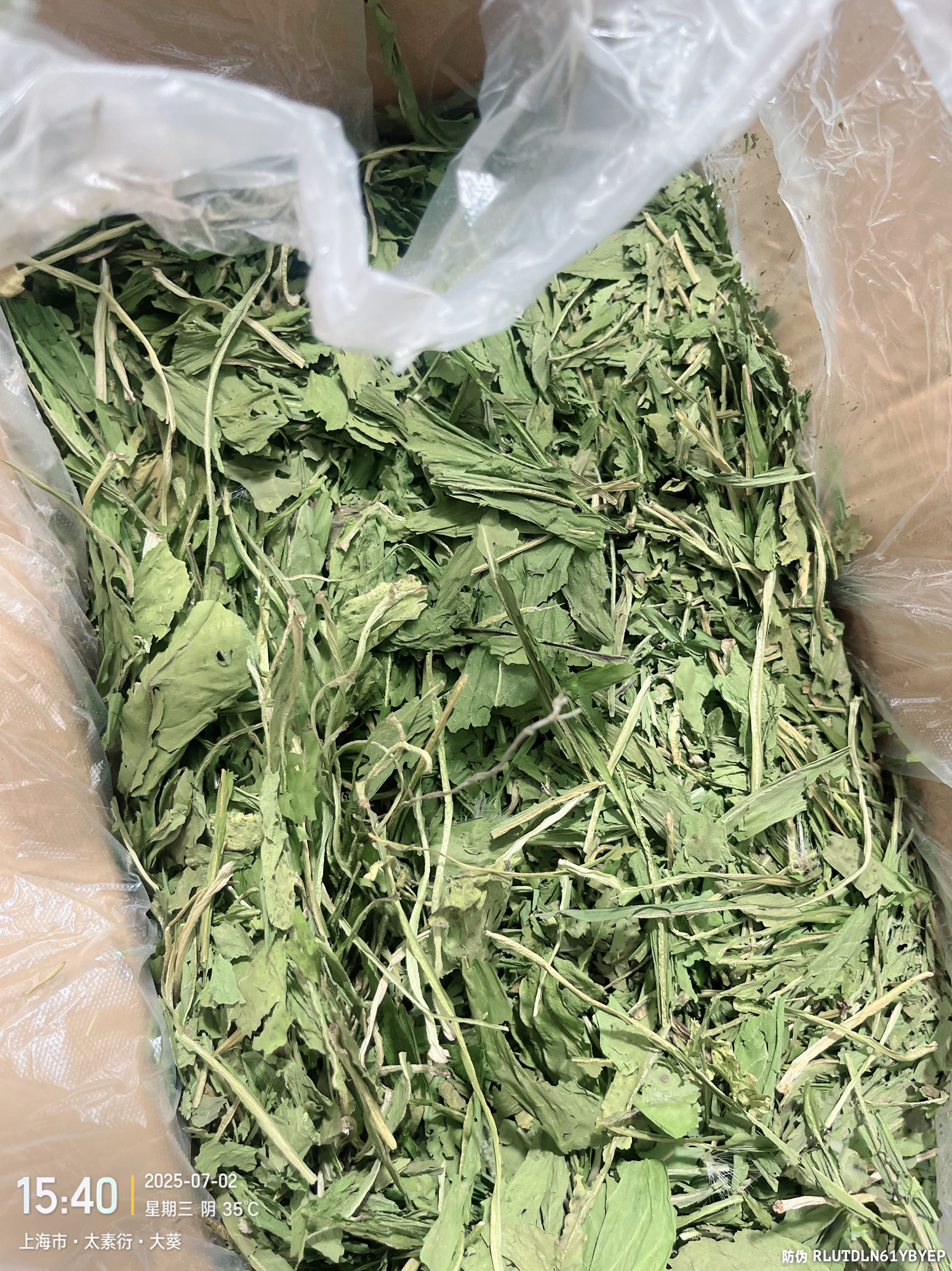 25年烘干菊苣草龙猫增肥调理肠胃