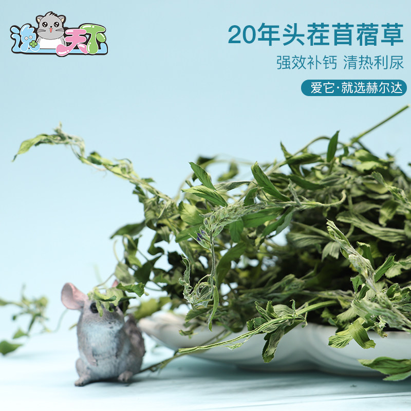 现货赫尔达26年兔子龙猫牧草兔粮紫花苜蓿草烘干级嫩草毛重1KG
