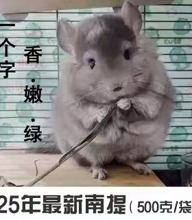 南提提摩西草宠物兔草龙猫主粮