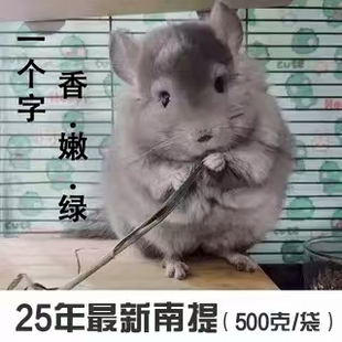 25年新南提摩西草 龙猫兔草香嫩绿小宠爱吃净含量500克
