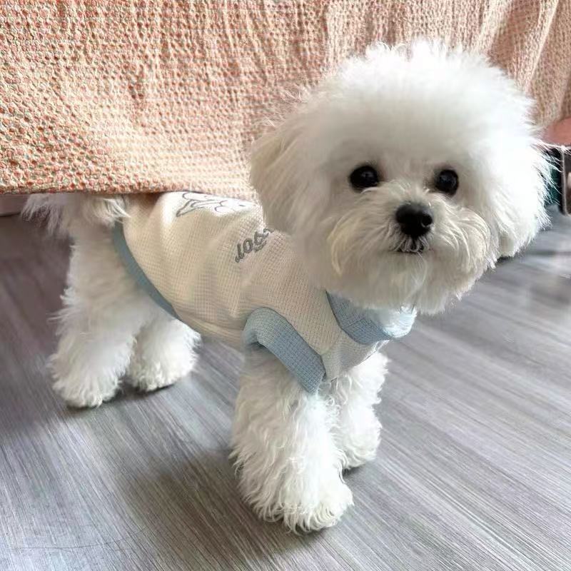宠物狗狗衣服夏季薄款泰迪比熊博美防掉毛小型幼犬夏天猫咪背心