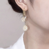 2025年新款 水晶耳环女925纯银针小众设计感流苏耳坠 潮气质时尚