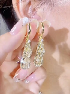 2024年新款潮超闪气质流苏耳环轻奢高级感时尚大气圆脸显瘦耳饰女