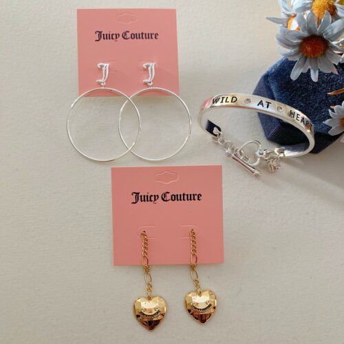 外贸品牌橘子流苏耳环 银色大耳圈 时尚甜美流行百搭耳饰女7