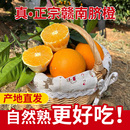 赣州果园直发正宗江西赣南脐橙手剥橙子扶农产品