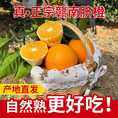 赣州果园直发正宗江西赣南脐橙手剥橙子扶农产品