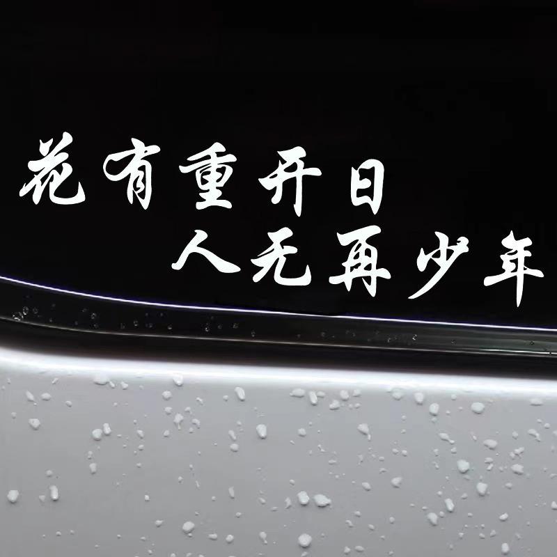 YJZT 汽车贴纸花有重开日人无再少年网红防水个性创意文字贴纸