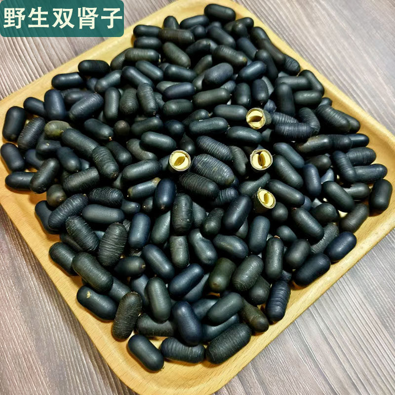 广西山货双肾子铁棍籽风流果阴阳子巴戟天牛大力男性中药材泡酒料
