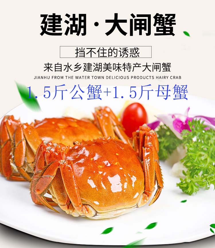 特大残蟹大号残蟹大闸蟹鲜活断脚蟹残蟹残次蟹螃蟹公母各一斤半