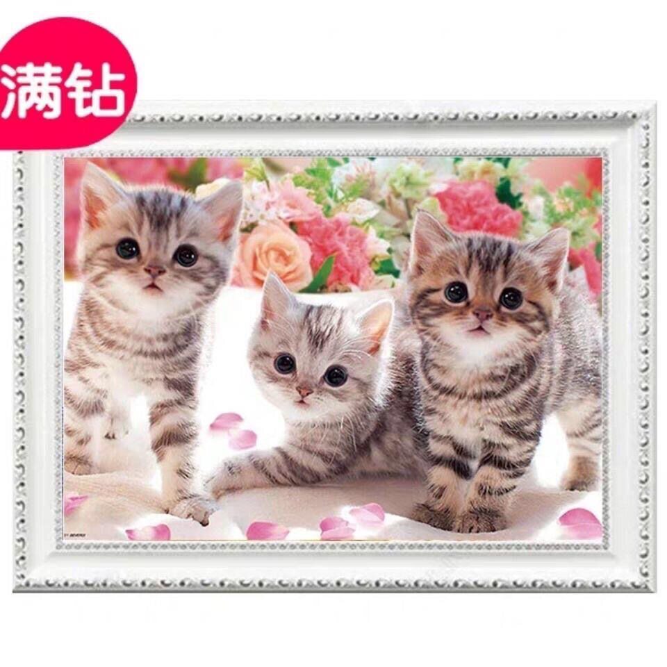 可爱猫咪动物萌宠现代简约