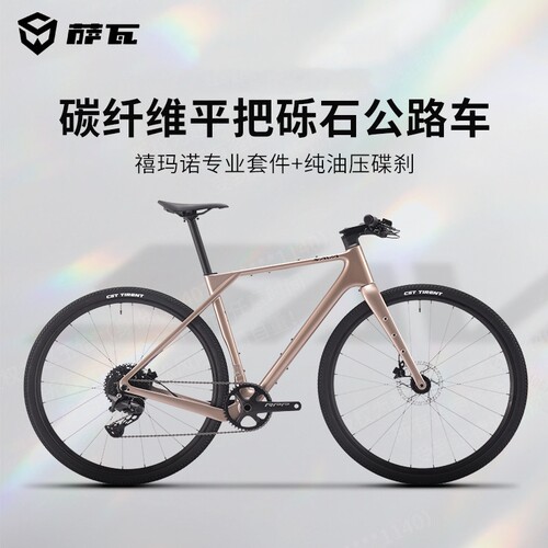 SAVA萨瓦越界SF6平把公路车