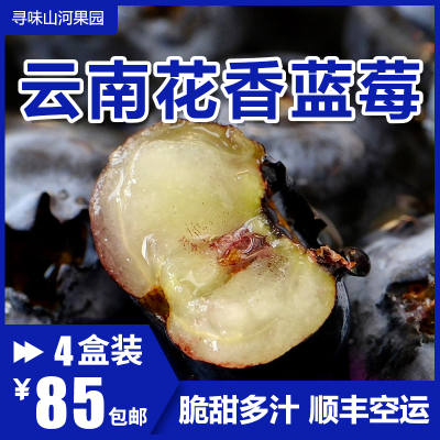 【11月约】云南抚仙湖花香蓝莓L25脆甜多汁现摘现发孕妇水果包邮