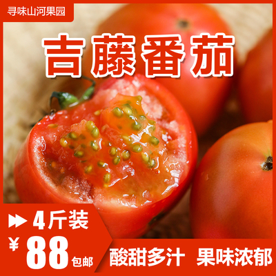【月底下架】吉藤番茄日本高糖西红柿生吃新鲜孕妇排单发货包邮