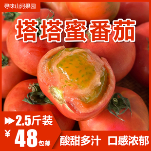 4月下旬上架 云南塔塔蜜彩色番茄草莓柿子西红柿新鲜水果现摘