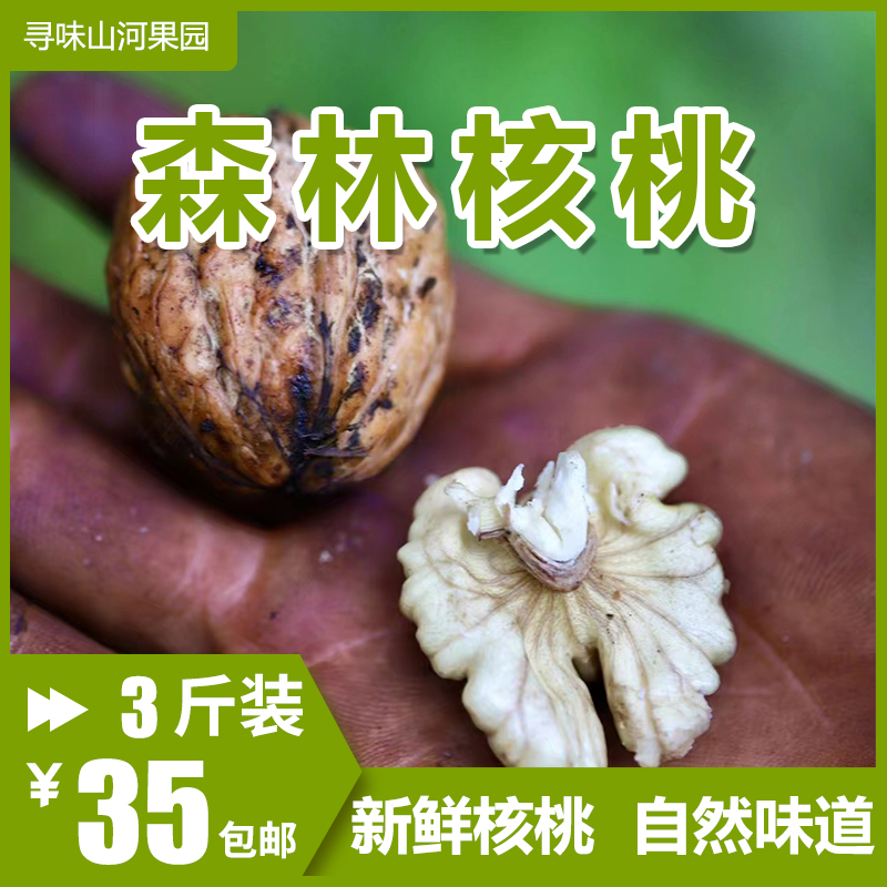 【已下架】2024攀枝花森林湿核桃新鲜去青皮绿皮鲜嫩产地直发包邮