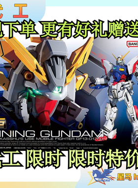 现货万代 RG闪光高达 金属色代工 改色机动武斗传多蒙卡修拼装