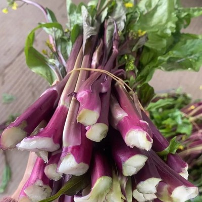 湖北红菜苔新鲜脆嫩农家蔬菜自种青菜当季菜心时令紫菜薹菜台特产