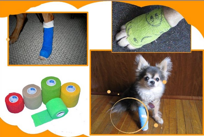 Protection sport - Ref 585398 Image 4