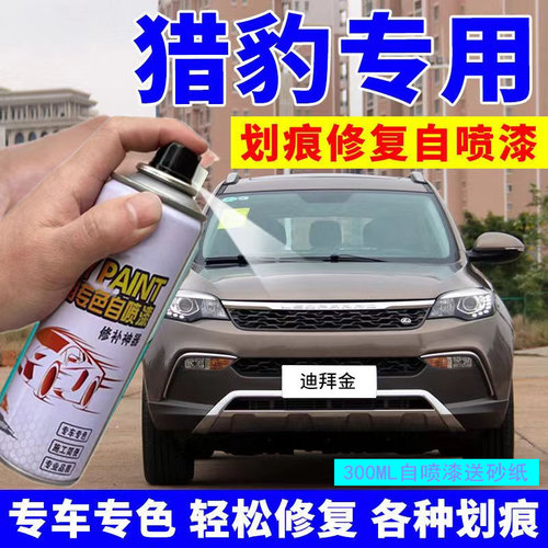 猎豹cs10迪拜金自喷漆迪拜金补