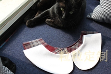 Украшение на воротник