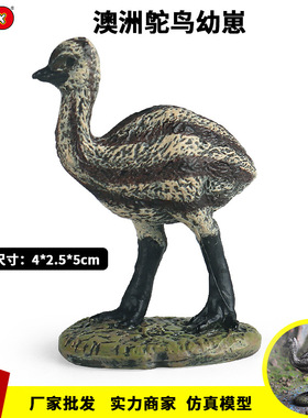儿童仿真动物模型鸟类鸸鹋澳洲鸵鸟幼崽玩具展览馆道具家居摆件