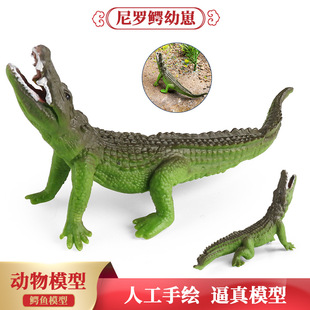 儿童仿真实心鳄鱼模型尼罗鳄幼崽帝鳄扬子鳄野猪鳄认知礼品摆件