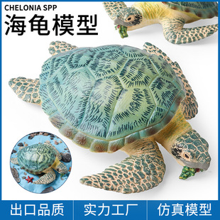 儿童玩具认知仿真海洋鱼缸摆件大号海龟陆龟象龟乌龟两栖动物模型