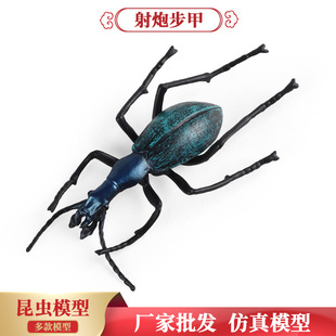 昆虫动物模型玩具儿童仿真甲虫射炮步甲投弹手甲虫非洲气步甲摆件