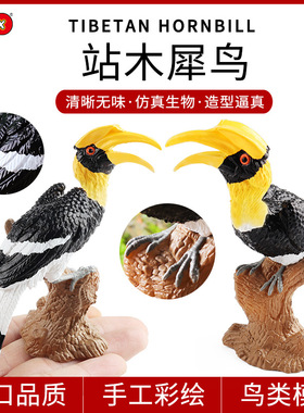 儿童认知仿真鸟动物模型家居摆件实心站木犀鸟巨嘴鸟鹦鹉玩具