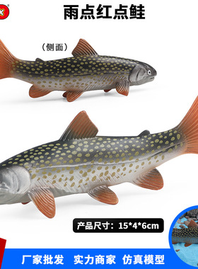 仿真热带海洋海水鱼模型玩具雨点红点鲑鱼日光白点鲑家居鱼缸摆件