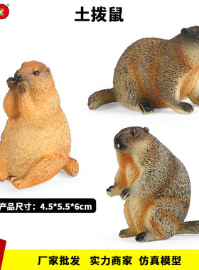 跨境儿童仿真土拨鼠草地獭雪猪野生动物模型认知玩具家居蛋糕摆件