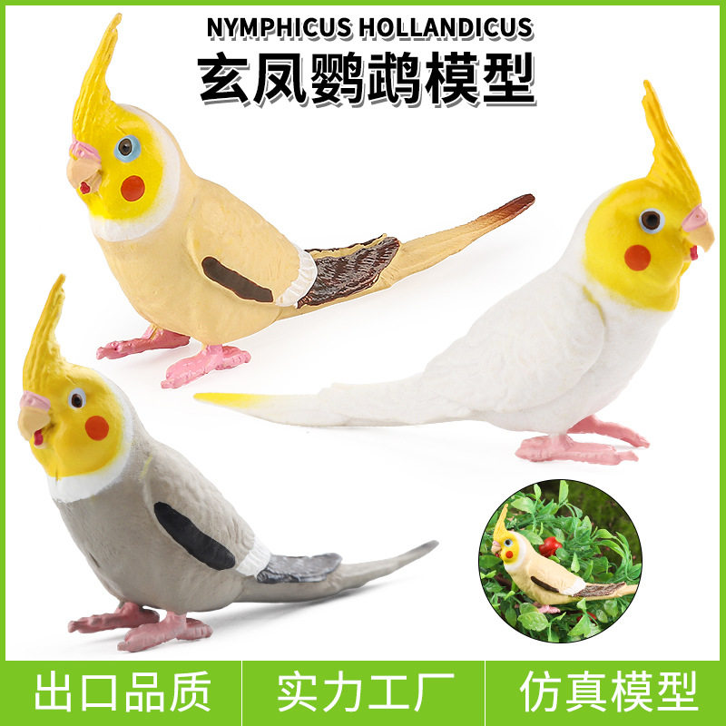 仿真野生动物模型玄凤鹦鹉飞禽鸟类实心儿童认知玩具家居摆件礼品